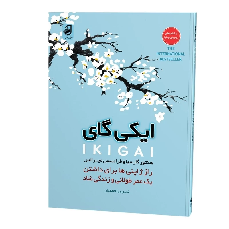 کتاب ایکی گای