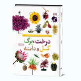 دانشنامه درخت برگ گل دانه از سارا جوز