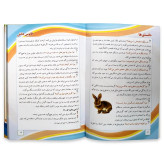 کتاب چیستان و دانستنی ها فانوس دانش